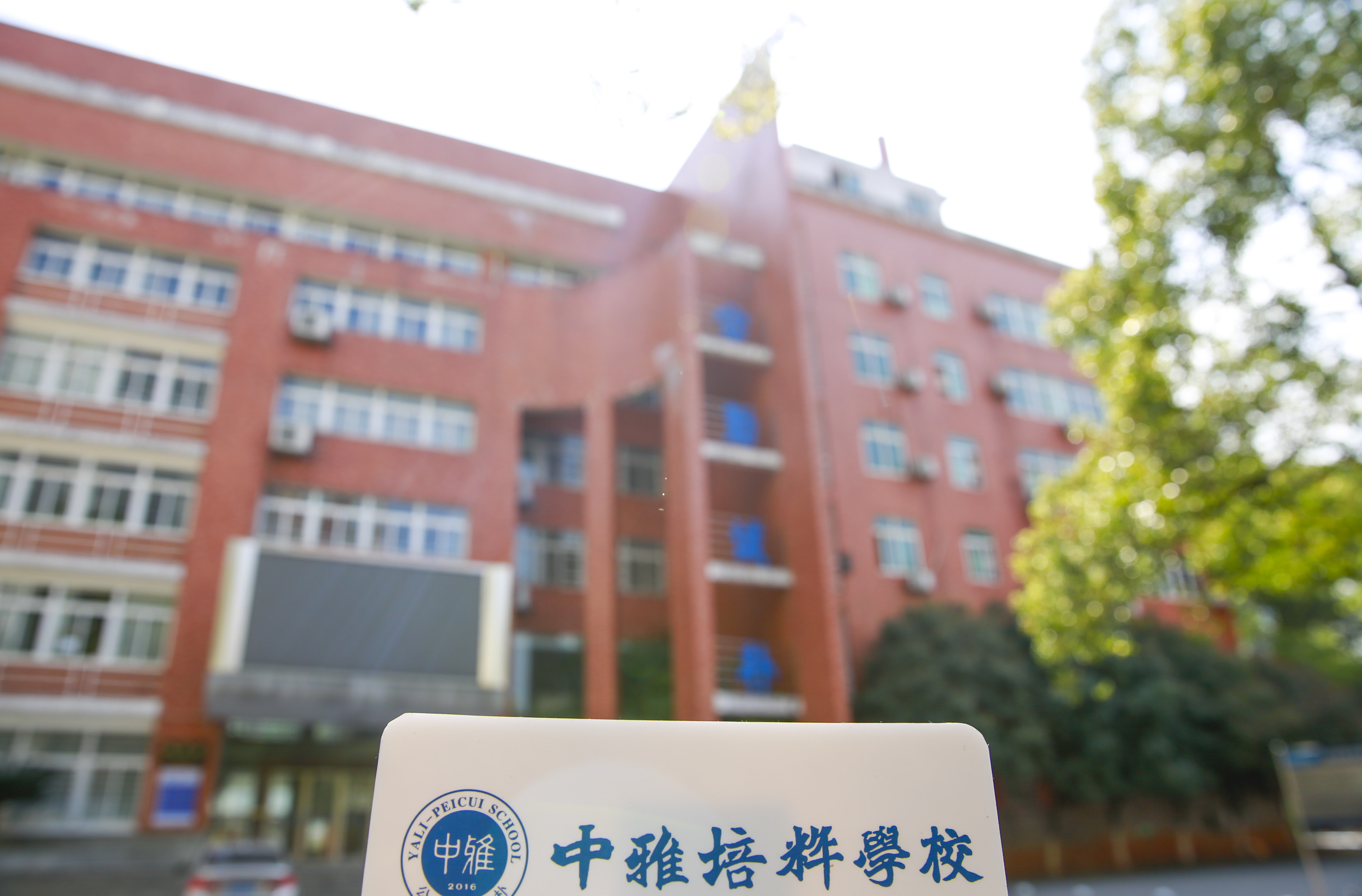 迈进新纪元，礼赞新时代——2019年度学生获奖总结  ​