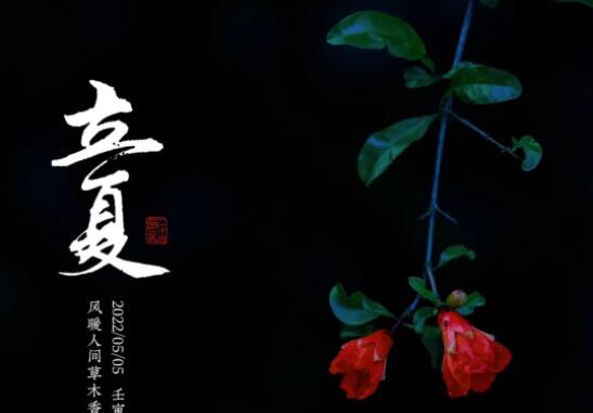 今日立夏 | 夏满校园，万物并秀